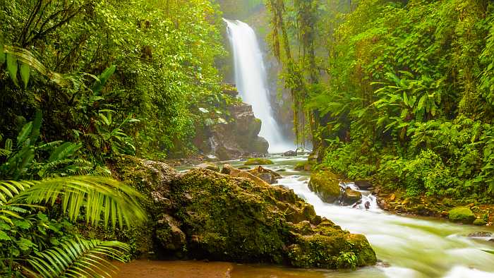 Waterfall in the jungle in Costa Rica.